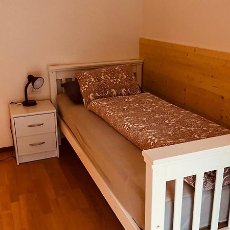 Appartement Alois ブレッサノーネ エクステリア 写真